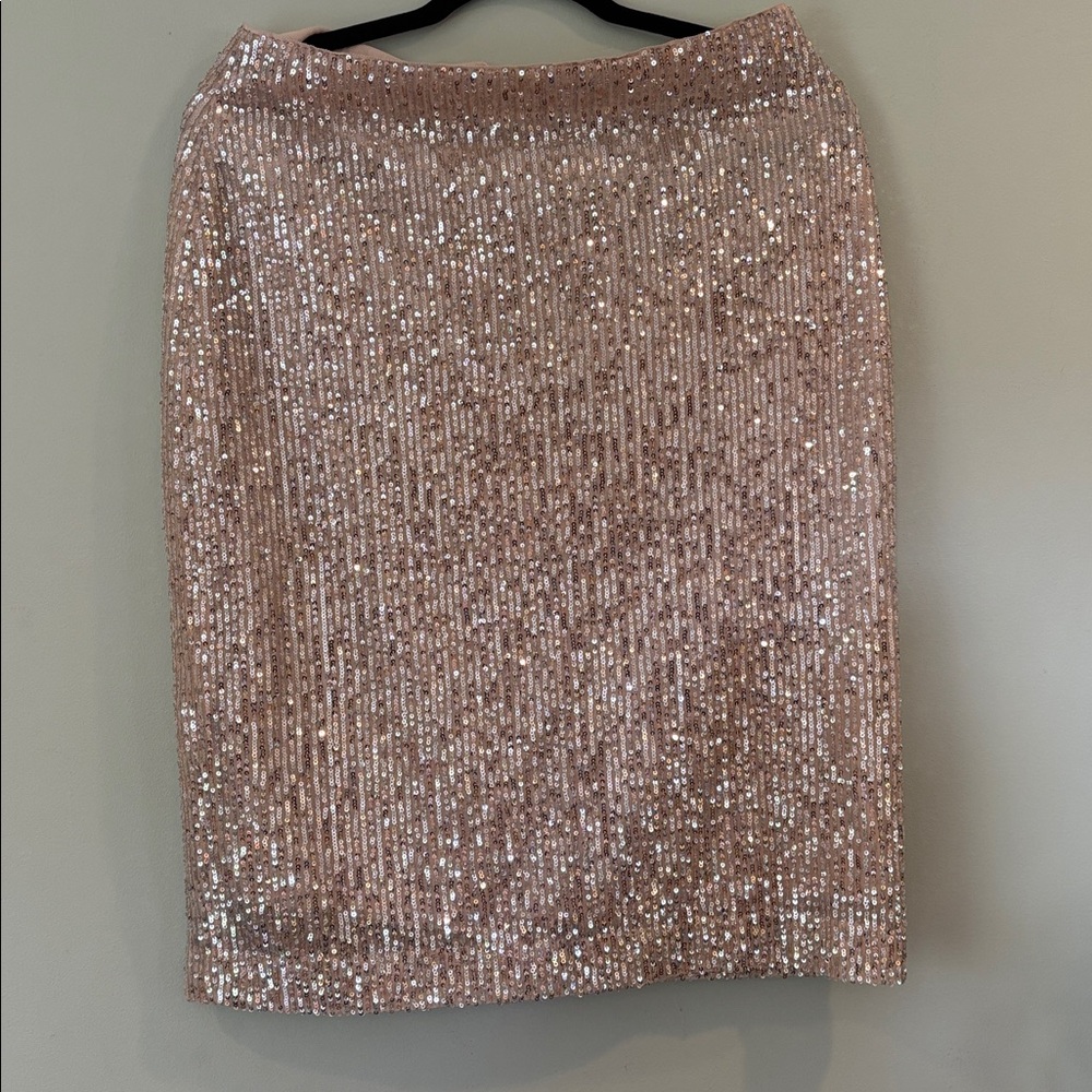 NWT Ann Taylor LOFT Sequin Skirt size 6